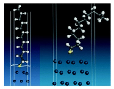 Palladium nanoparticles